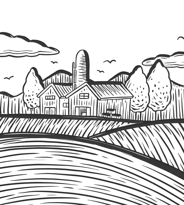 Soil damage agricultural land pollution effects