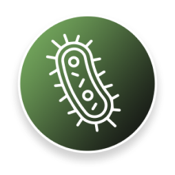 microbial effects in fitness center and gym