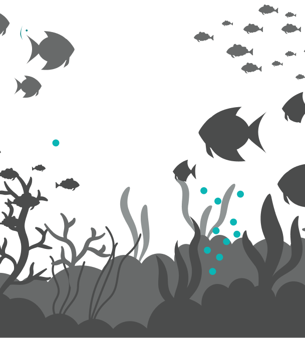Marine life damage ocean acidification pollution