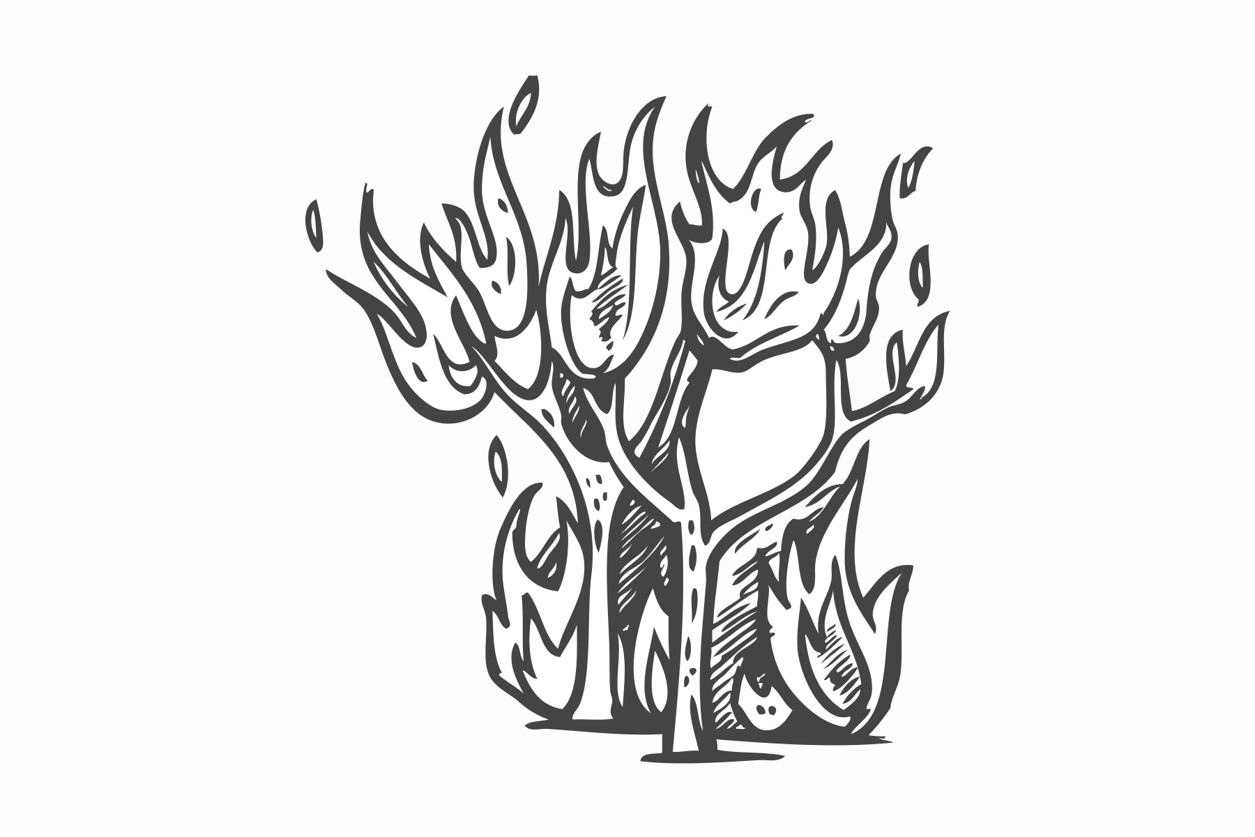 Carbon monoxide (CO) from Forest fires