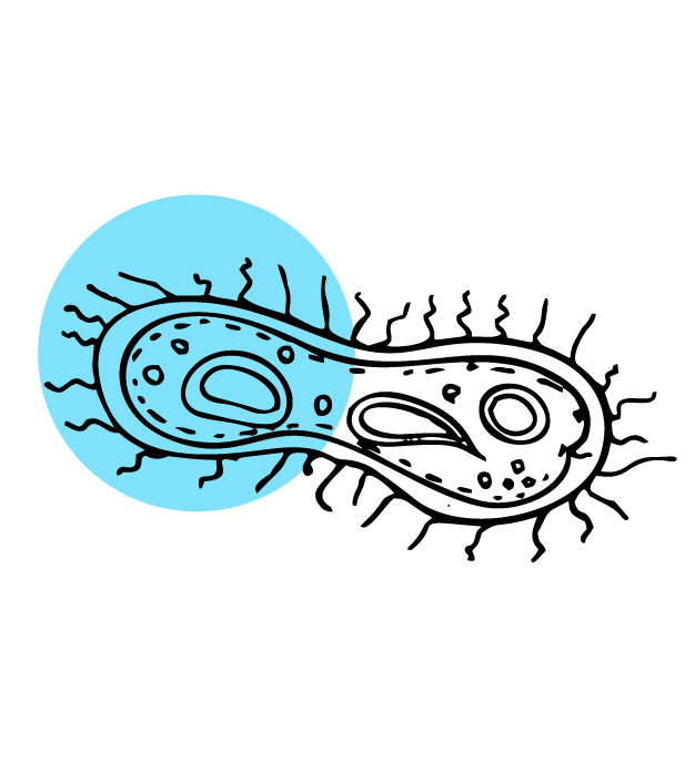 Virus and germs due to low humidity