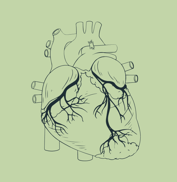 heart problem due to no2