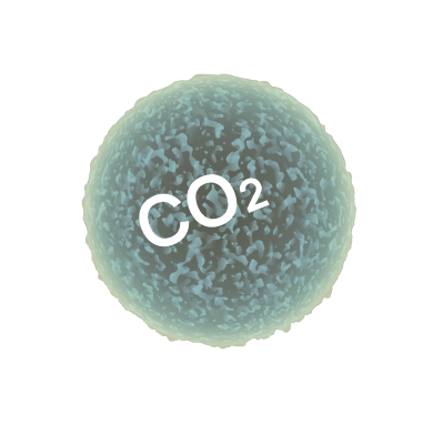 high co2 level