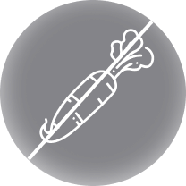 carrot icon