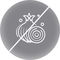 onion icon