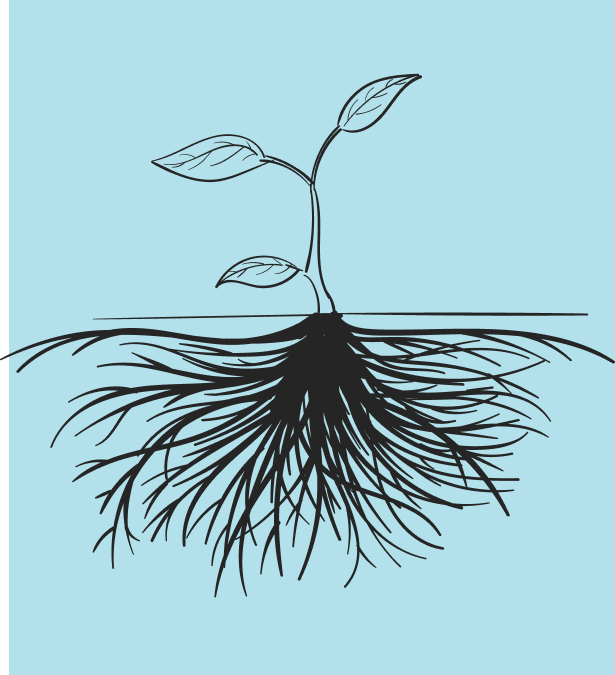 Plant growth vegetation damage pollution effects