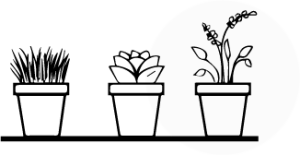 Relocate indoor plants